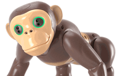 toy